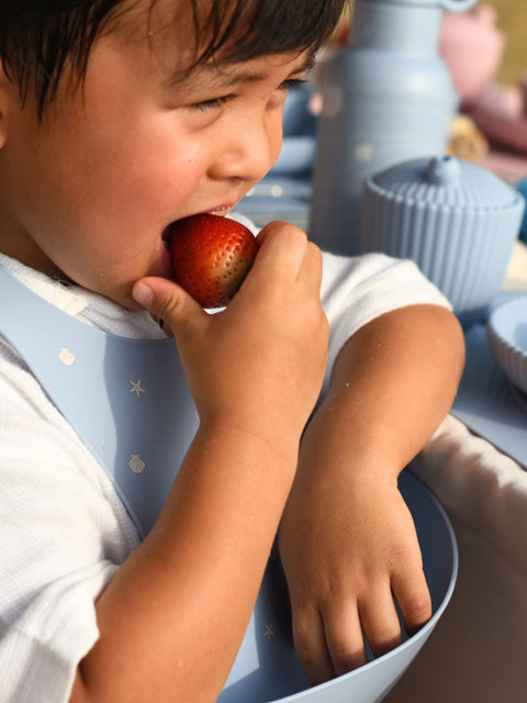 Seashell Silicone Bib - Pink|For 4 Months+ Baby-Bib-Bimbocasa