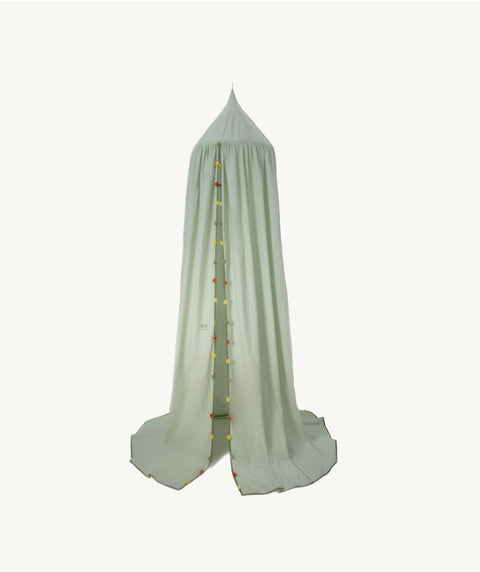 Canopy - Spring Sprout