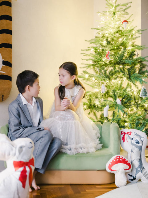 Christmas Shaped Cushion - Raccoon