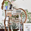 Blackback Gorilla Library｜Kids Bookshelf