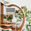 Blackback Gorilla Library｜Kids Bookshelf