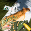 Leopard Yoga Mat｜For Kids